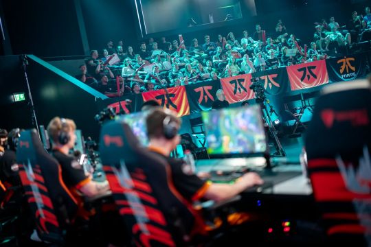 专家开始期 专家开始期