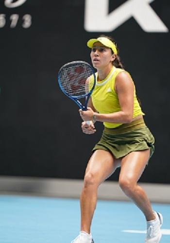 上运动的刺 上运动的刺