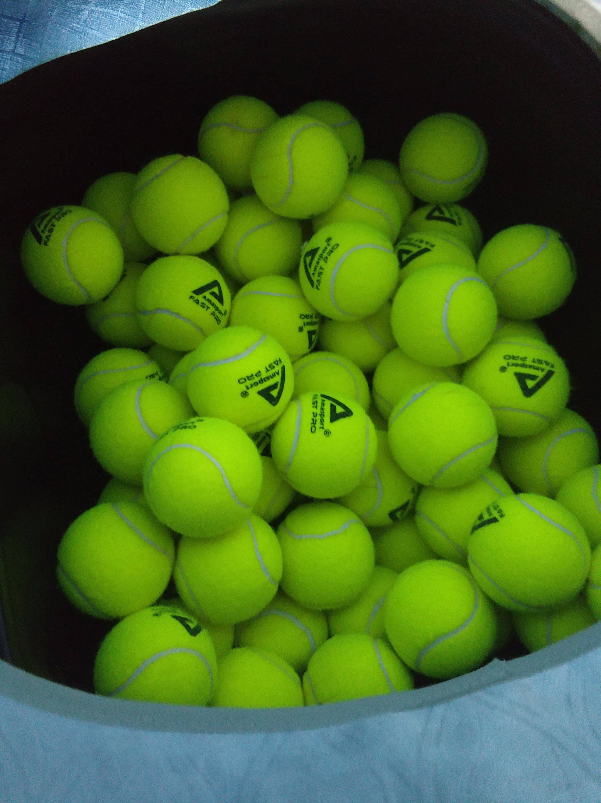 顽强的斗志 顽强的斗志